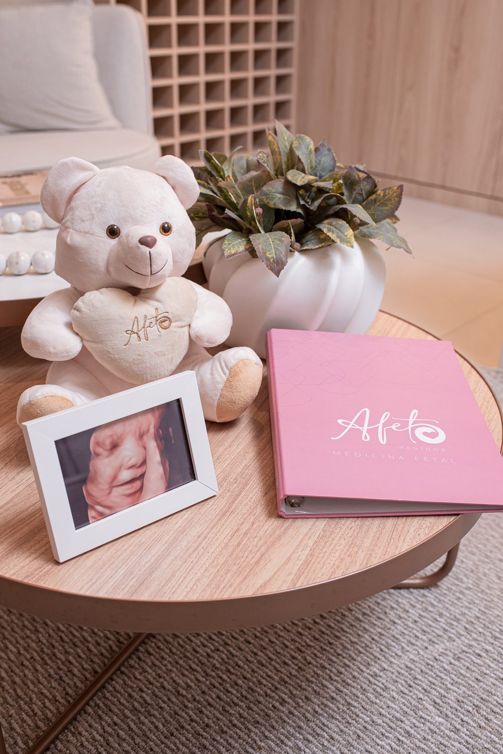 Urso Afeto, porta-retrato com a foto do bebê e fichário rosa do plano